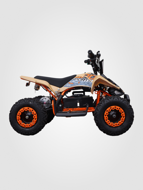Cuatrimoto Eléctrica Infantil Evobike Ricochet — vista lateral